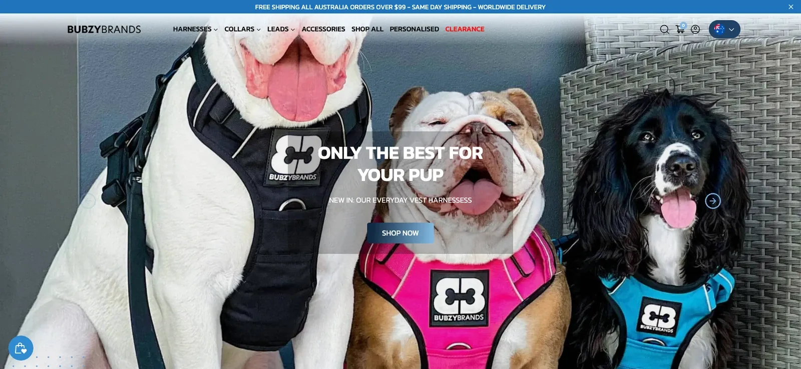 Case Study: Bubzy Brands | Qoblex
