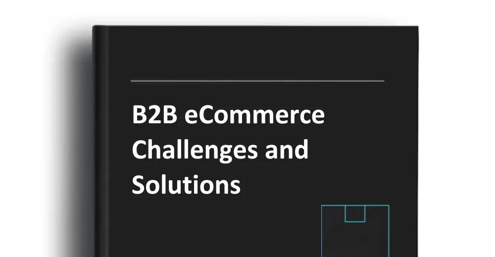 B2B eCommerce Challenges and Solutions