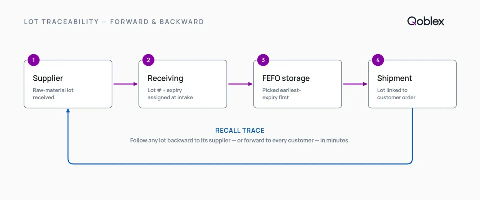 Diagram of the lot traceability lifecycle: a supplier lot received into stock, allocated across orders, and traced forward to every shipment, or backward from any order to the source lots that fed it. This single-record chain is the operational view WooCommerce has no native equivalent for.