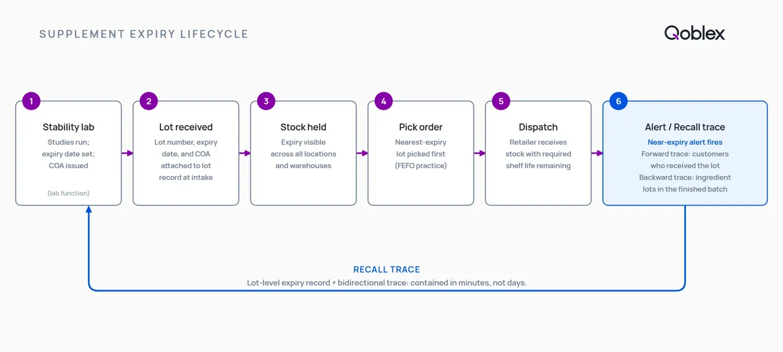 Diagram of the supplement expiry lifecycle: stability lab sets the lot expiry date, the lot is received with the COA attached in the inventory system, stock is picked in expiry order, dispatched with sufficient shelf life remaining, and forward trace is run if a recall or near-expiry alert fires.